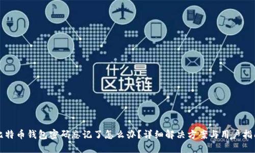 比特币钱包密码忘记了怎么办？详细解决方案与用户指南