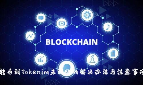 转币到Tokenim未到账的解决办法与注意事项
