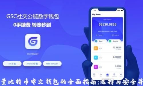 
轻量比特币中文钱包的全面指南：选择与安全并重