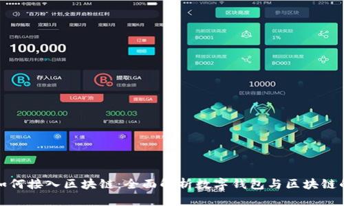钱包如何接入区块链：全面解析数字钱包与区块链的整合