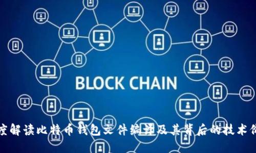 深度解读比特币钱包文件编译及其背后的技术价值