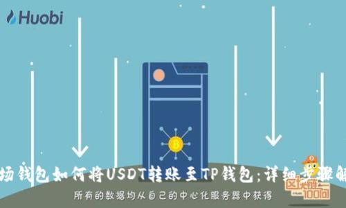 波场钱包如何将USDT转账至TP钱包：详细步骤解析