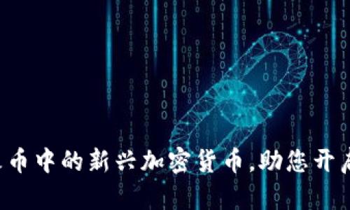 Tokenim: 币安与火币中的新兴加密货币，助您开启数字资产投资时代