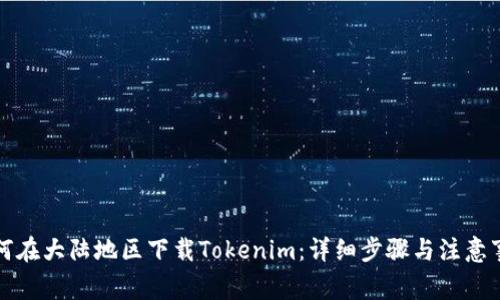 如何在大陆地区下载Tokenim：详细步骤与注意事项