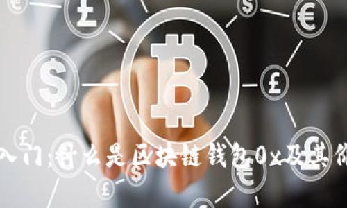 零基础入门：什么是区块链钱包0x及其价值分析