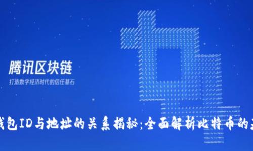 比特币钱包ID与地址的关系揭秘：全面解析比特币的基础知识