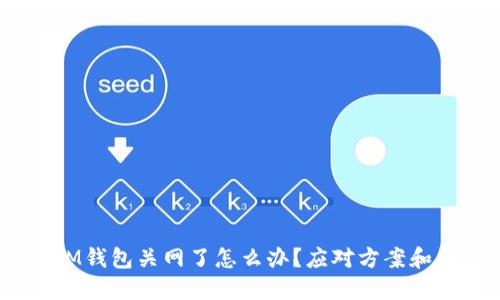 TokenTokenIM钱包关网了怎么办？应对方案和解决方法详解