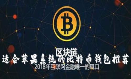 适合苹果系统的比特币钱包推荐