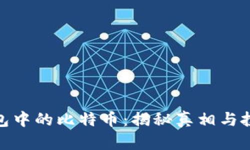 狐狸钱包中的比特币：揭秘真相与投资风险