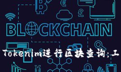 如何高效使用Tokenim进行区块查询：工具与技巧详解