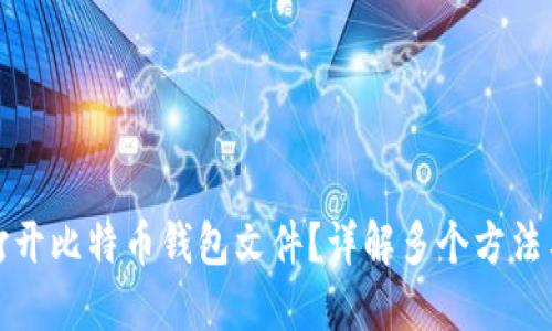 如何打开比特币钱包文件？详解多个方法与技巧