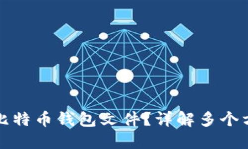 如何打开比特币钱包文件？详解多个方法与技巧