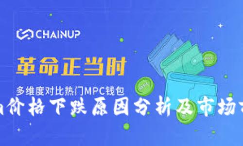 Tokenim价格下跌原因分析及市场前景展望