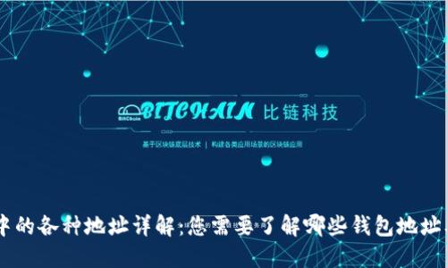 Tokenim 中的各种地址详解：您需要了解哪些钱包地址及合约地址