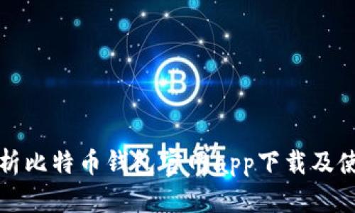 全面解析比特币钱包官网app下载及使用指南