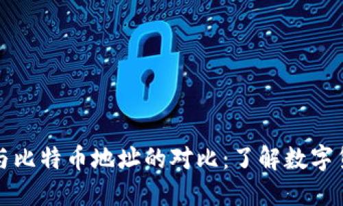 钱包地址与比特币地址的对比：了解数字货币的基础
