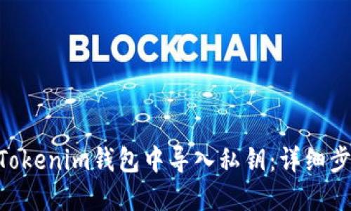 如何在TokenTokenim钱包中导入私钥：详细步骤与视频指南
