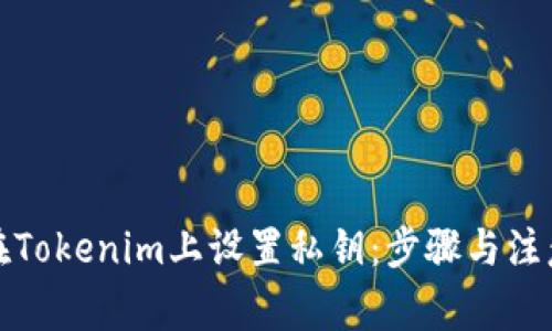 如何在Tokenim上设置私钥：步骤与注意事项