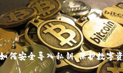 Tokenim 2.0如何安全导入私钥，保护数字资产的最佳实践