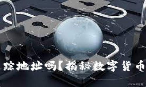 虚拟币钱包能追踪地址吗？揭秘数字货币交易的隐秘角落
