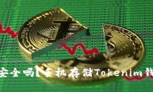 Tokenim钱包安全吗？手机存储Tokenim钱包的全面分析