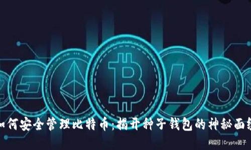 如何安全管理比特币：揭开种子钱包的神秘面纱