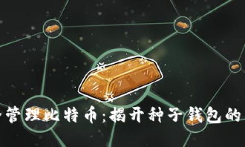 如何安全管理比特币：揭开种子钱包的神秘面纱
