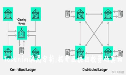 Tokenim骗局分析：揭开区块链投资的真相