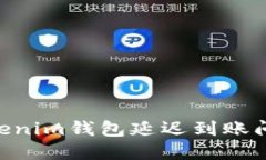 解决Tokentokenim钱包延迟到账问题的详细指南