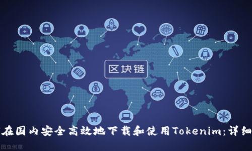 如何在国内安全高效地下载和使用Tokenim：详细指南