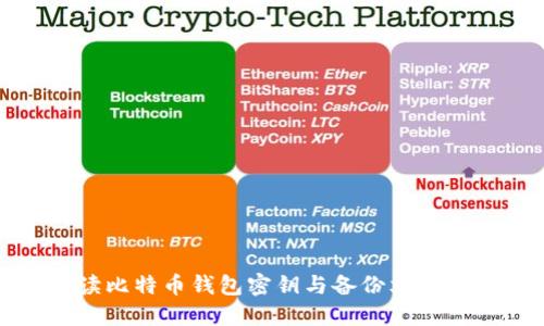 深入解读比特币钱包密钥与备份文件的重要性