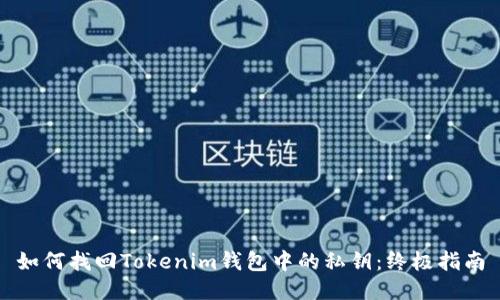 如何找回Tokenim钱包中的私钥：终极指南