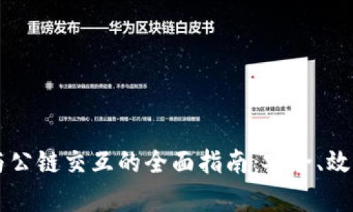 区块链钱包与公链交互的全面指南：安全、效率与技术解析