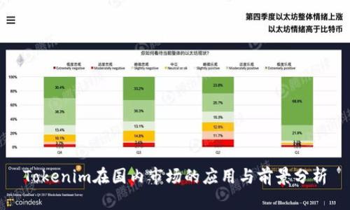 Tokenim在国内市场的应用与前景分析