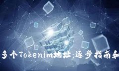 如何创建多个Tokenim地址：逐步指南和最佳实践