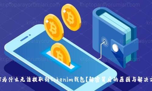 BTT为什么无法提取到Tokenim钱包？解密背后的原因与解决方案