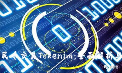 如何用人民币交易Tokenim：全面解析与实用指南