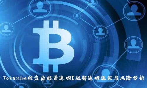 Tokenim被盗后能否追回？破解追回流程与风险分析