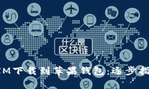 如何将TokenIM下载到苹果钱包：逐步指南与注意事项