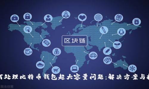 如何处理比特币钱包超大容量问题：解决方案与技巧