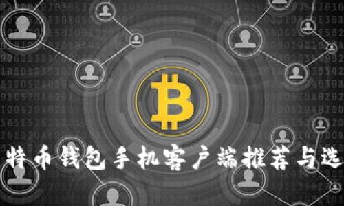 优质比特币钱包手机客户端推荐与选择指南