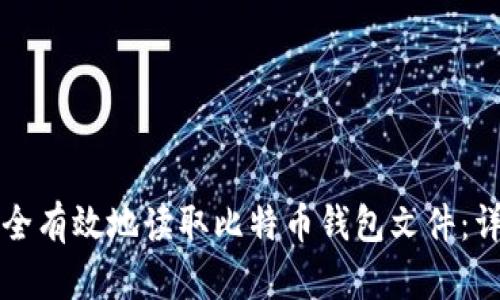 如何安全有效地读取比特币钱包文件：详尽指南
