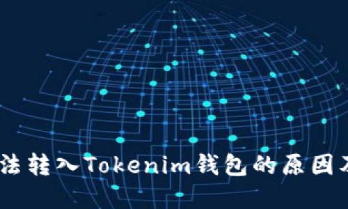 CTXC币无法转入Tokenim钱包的原因及解决方案