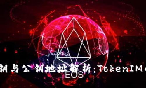 bianoti私钥与公钥地址解析：TokenIM的安全架构
