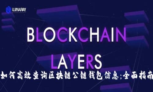 如何高效查询区块链公链钱包信息：全面指南