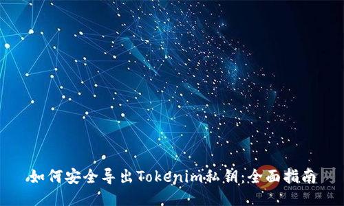 如何安全导出Tokenim私钥：全面指南