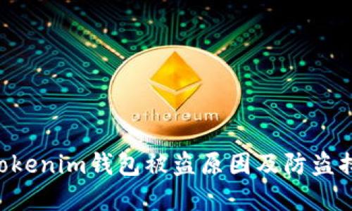 Tokentokenim钱包被盗原因及防盗措施详解