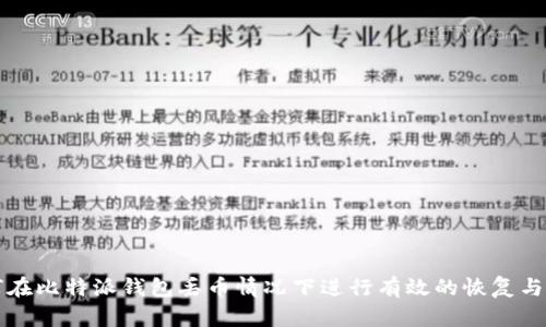 如何在比特派钱包丢币情况下进行有效的恢复与防范