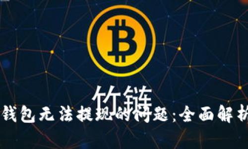 解决虚拟币钱包无法提现的问题：全面解析与实用对策