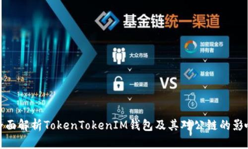 全面解析TokenTokenIM钱包及其对公链的影响